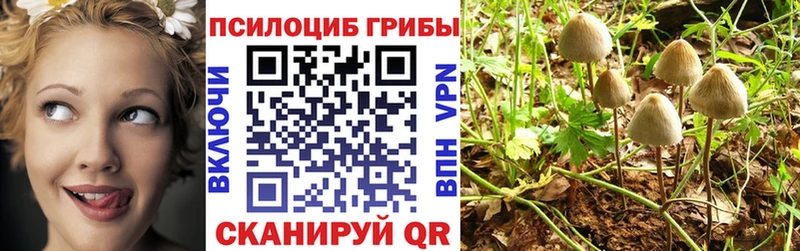Псилоцибиновые грибы ЛСД Петровск