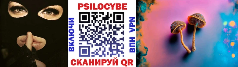 купить наркоту  ссылка на мегу ссылка  Псилоцибиновые грибы ЛСД  Петровск 